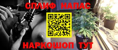 молекула духа Партизанск