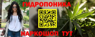 молекула духа Партизанск