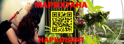 молекула духа Партизанск